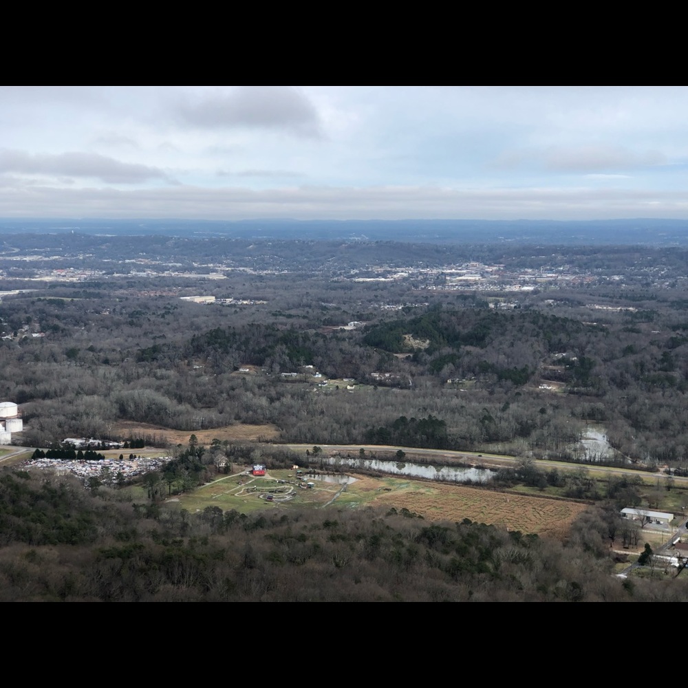 Meet your Posher, Brandy